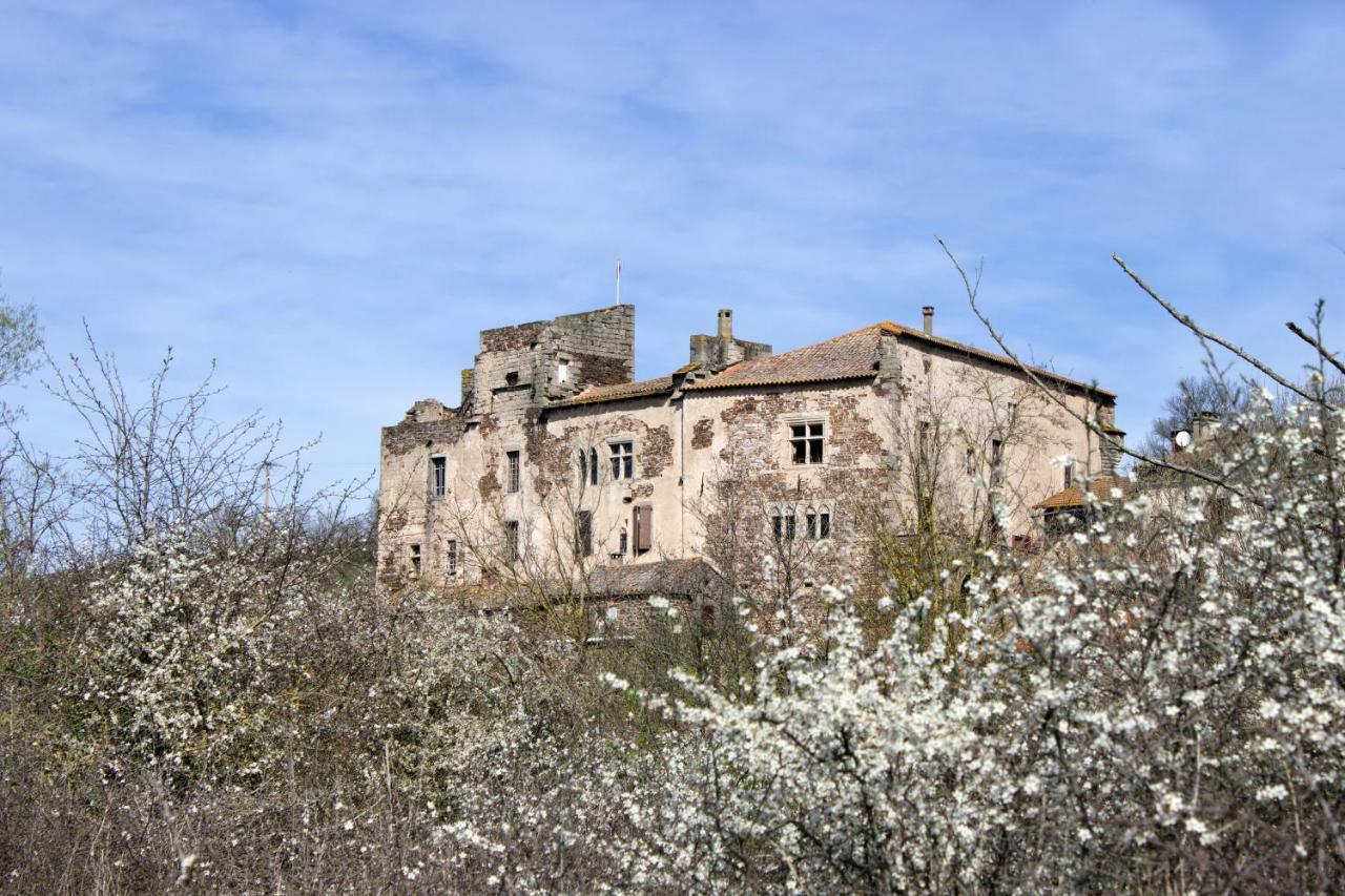 Chateau De Latour Sur Sorgue Marnhagues-et-Latour Exterior foto